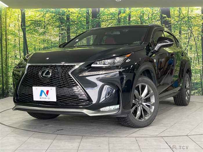 2015 Lexus NX