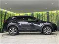 2015 Lexus NX