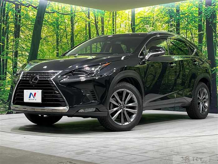 2018 Lexus NX