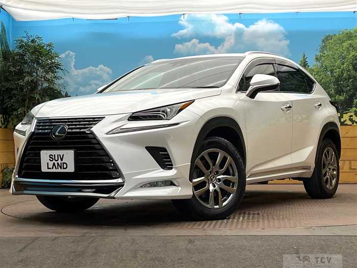 2019 Lexus NX