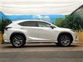 2019 Lexus NX