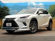 2019 Lexus NX