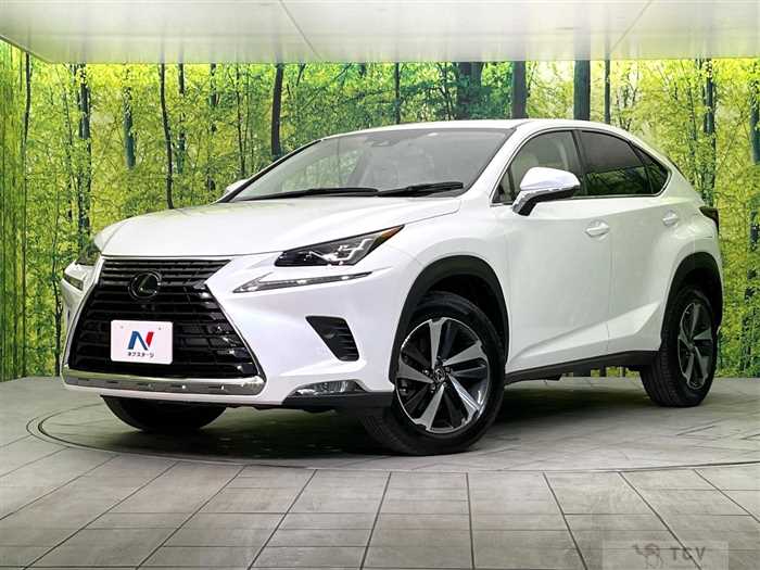 2020 Lexus NX