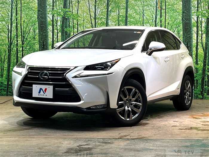 2014 Lexus NX