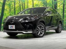 2015 Lexus NX