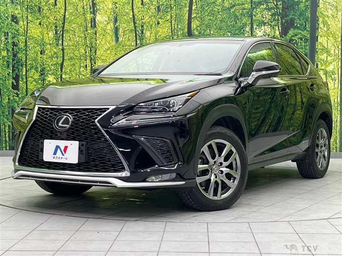 2015 Lexus NX
