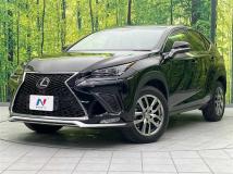 2015 Lexus NX