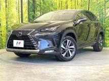 2017 Lexus NX