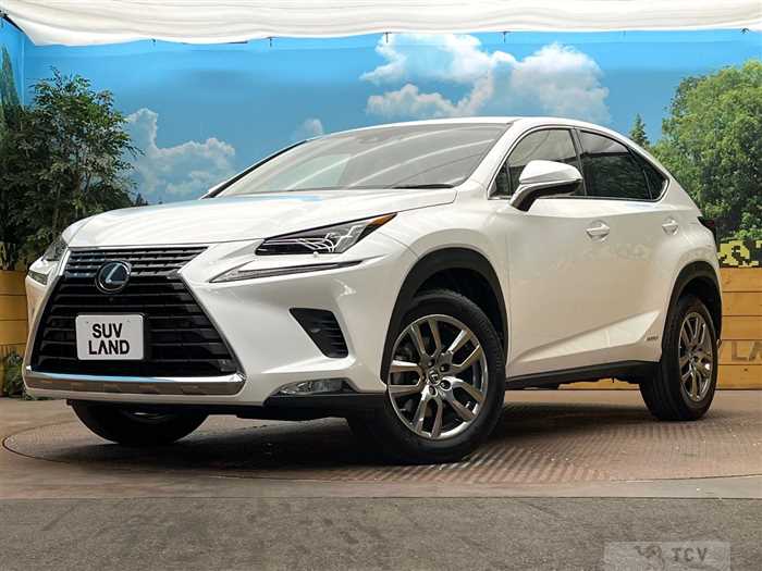 2017 Lexus NX