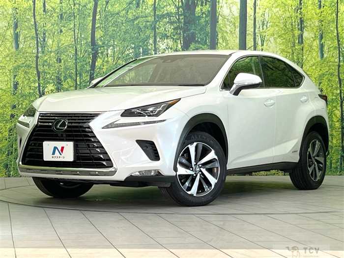 2018 Lexus NX