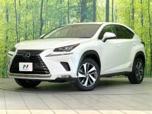 2018 Lexus NX