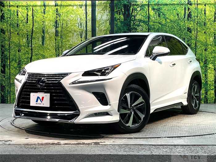 2018 Lexus NX