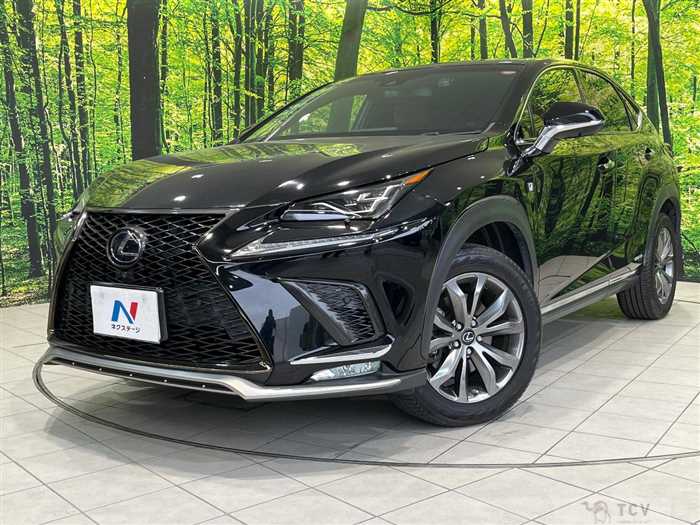 2018 Lexus NX