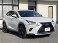 2018 Lexus NX