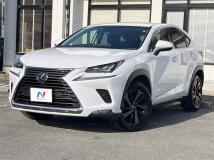 2018 Lexus NX