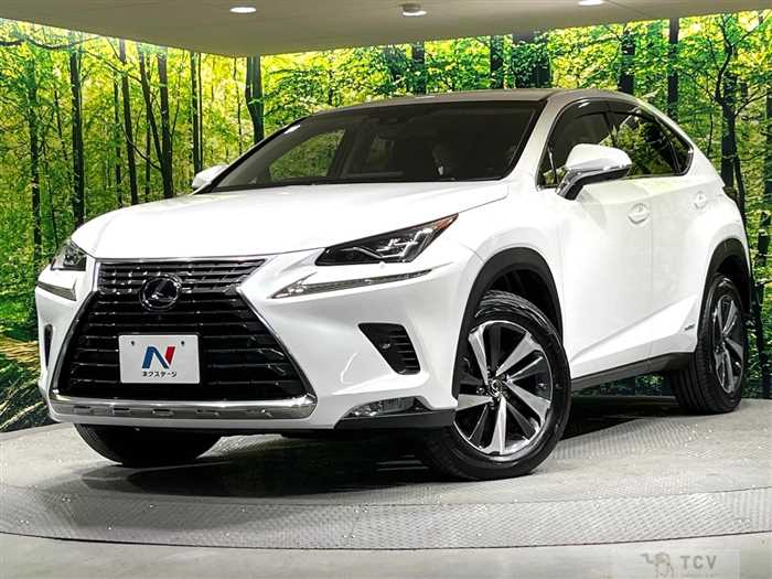 2018 Lexus NX