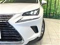 2018 Lexus NX