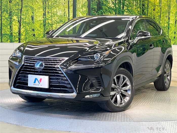 2018 Lexus NX
