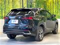 2018 Lexus NX