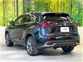 2018 Lexus NX
