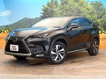 2018 Lexus NX