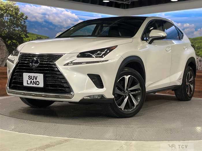 2019 Lexus NX