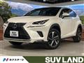 2019 Lexus NX