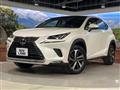 2019 Lexus NX