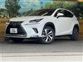 2019 Lexus NX