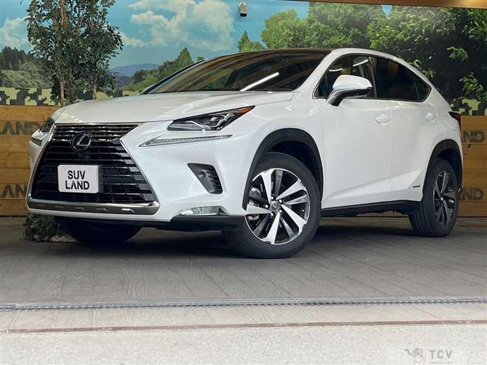 2019 Lexus NX