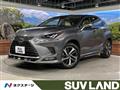 2019 Lexus NX
