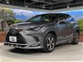2019 Lexus NX