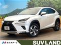 2020 Lexus NX