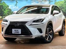 2018 Lexus NX