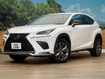 2019 Lexus NX