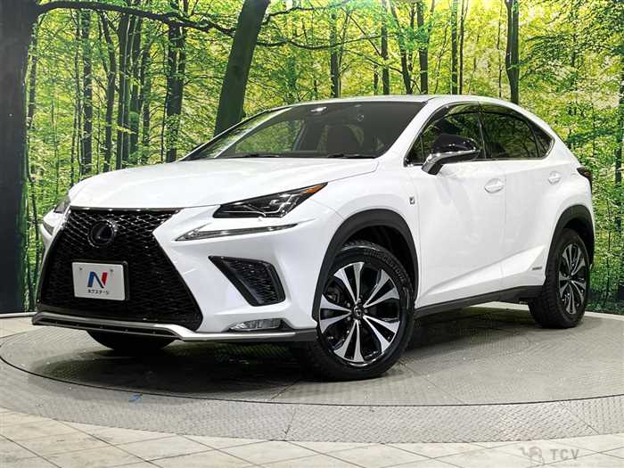 2019 Lexus NX