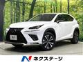 2019 Lexus NX