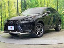 2019 Lexus NX