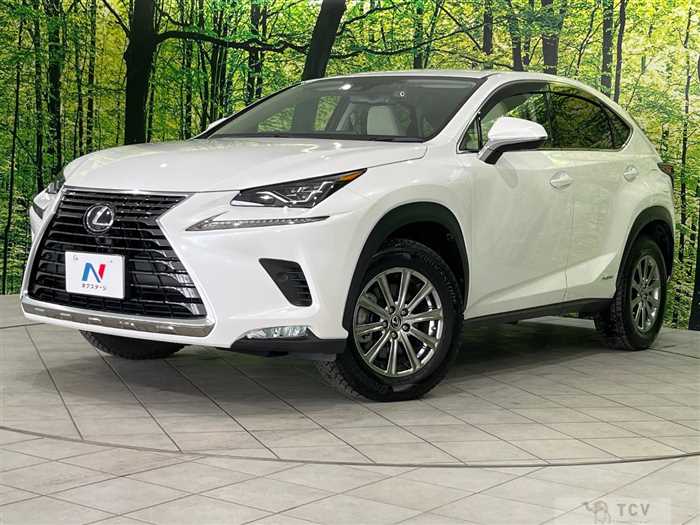 2021 Lexus NX
