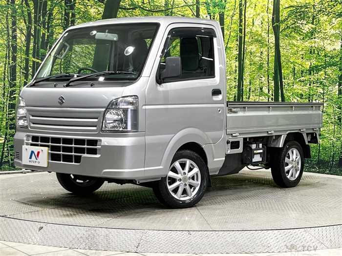 2019 Suzuki Carry Truck
