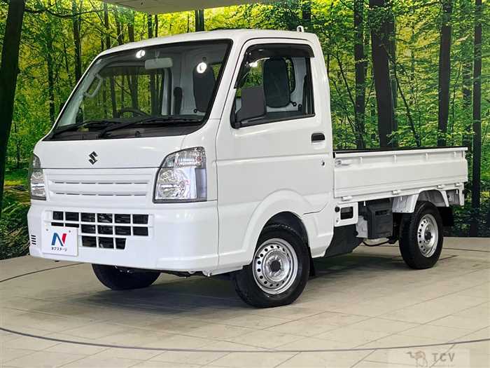 2020 Suzuki Carry Truck