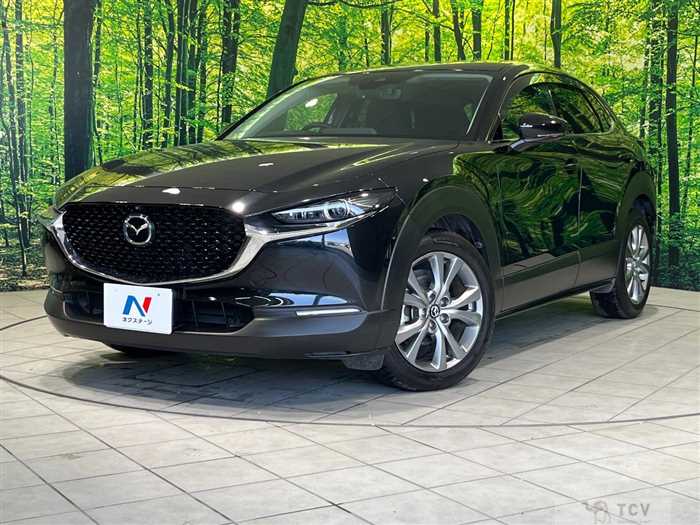 2019 Mazda Mazda Others