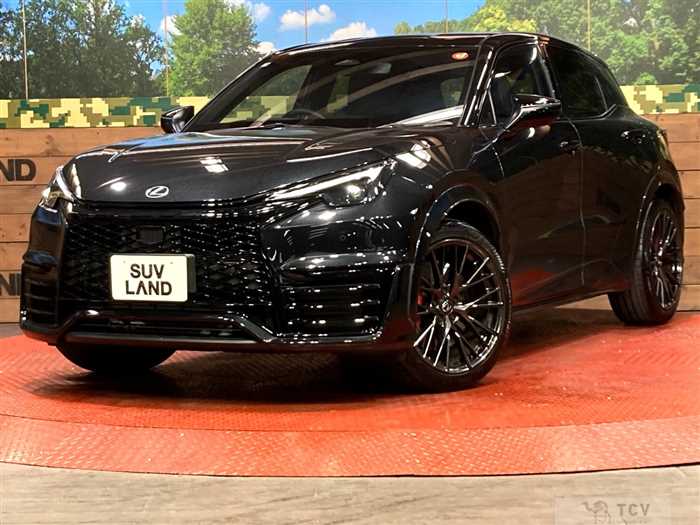 2025 Lexus Other