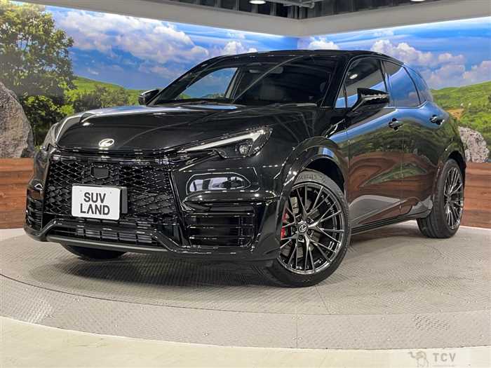 2025 Lexus Other