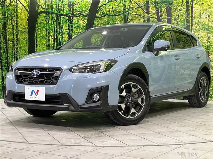 2019 Subaru Subaru Others