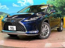 2019 Lexus RX