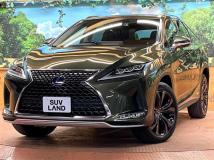 2019 Lexus RX