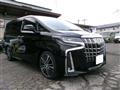 2018 Toyota Alphard G