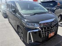2019 Toyota Alphard G
