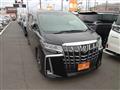 2020 Toyota Alphard G